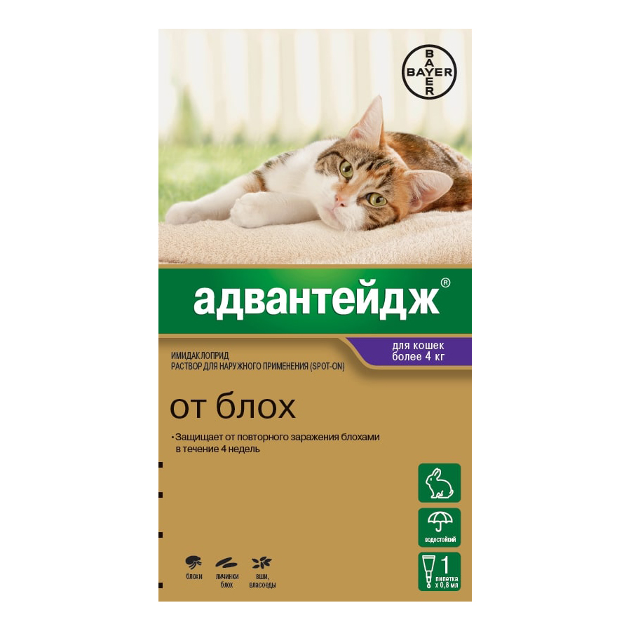 ПР0046867 Капли для котят и кошек BAYER АДВАНТЕЙДЖ от блох весом более 4 кг, 1 пипетка в упаковке 0,8мл Elanco 