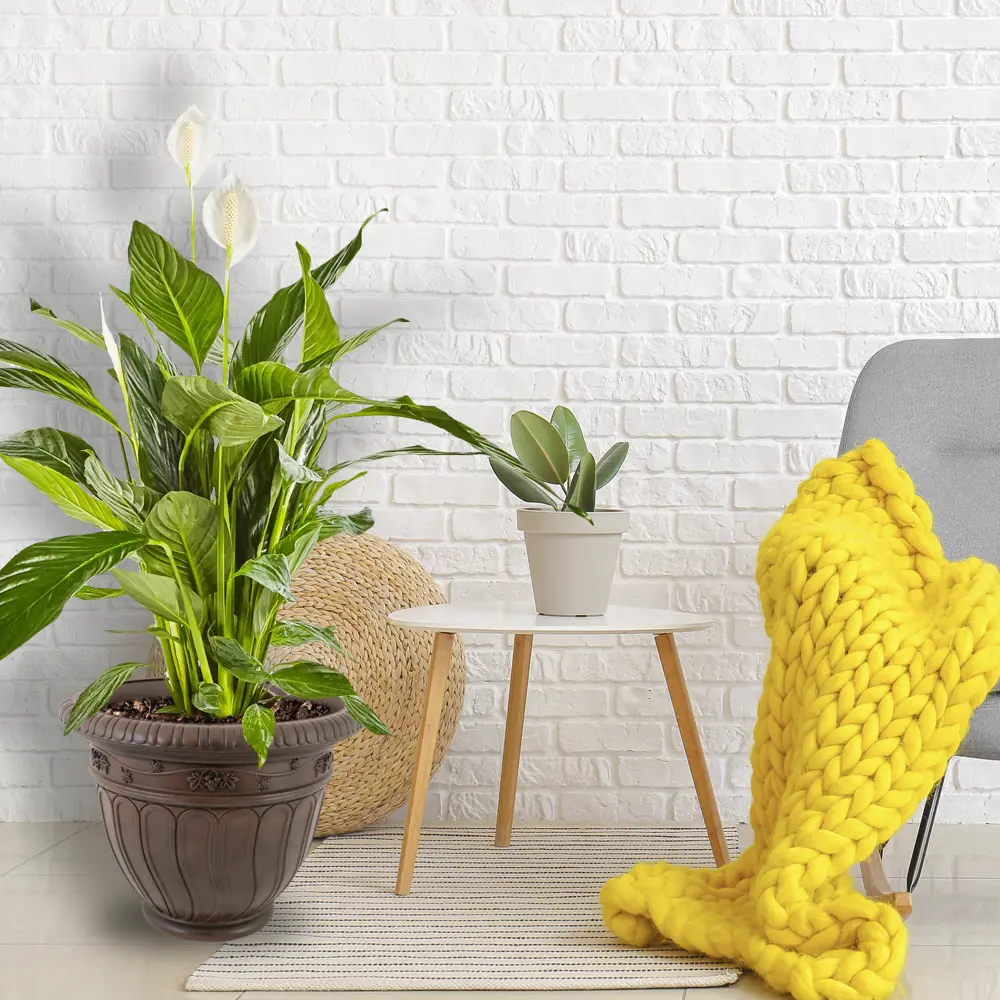 Кашпо ТЕК.А.ТЕК Grapes для сада и интерьера с дренажной системой 83136041 Грейпс STLM-0039276 - Вид №2