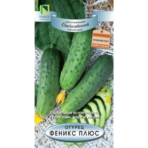 Семена огурца Феникс плюс - урожайный сорт для открытого грунта 89401076