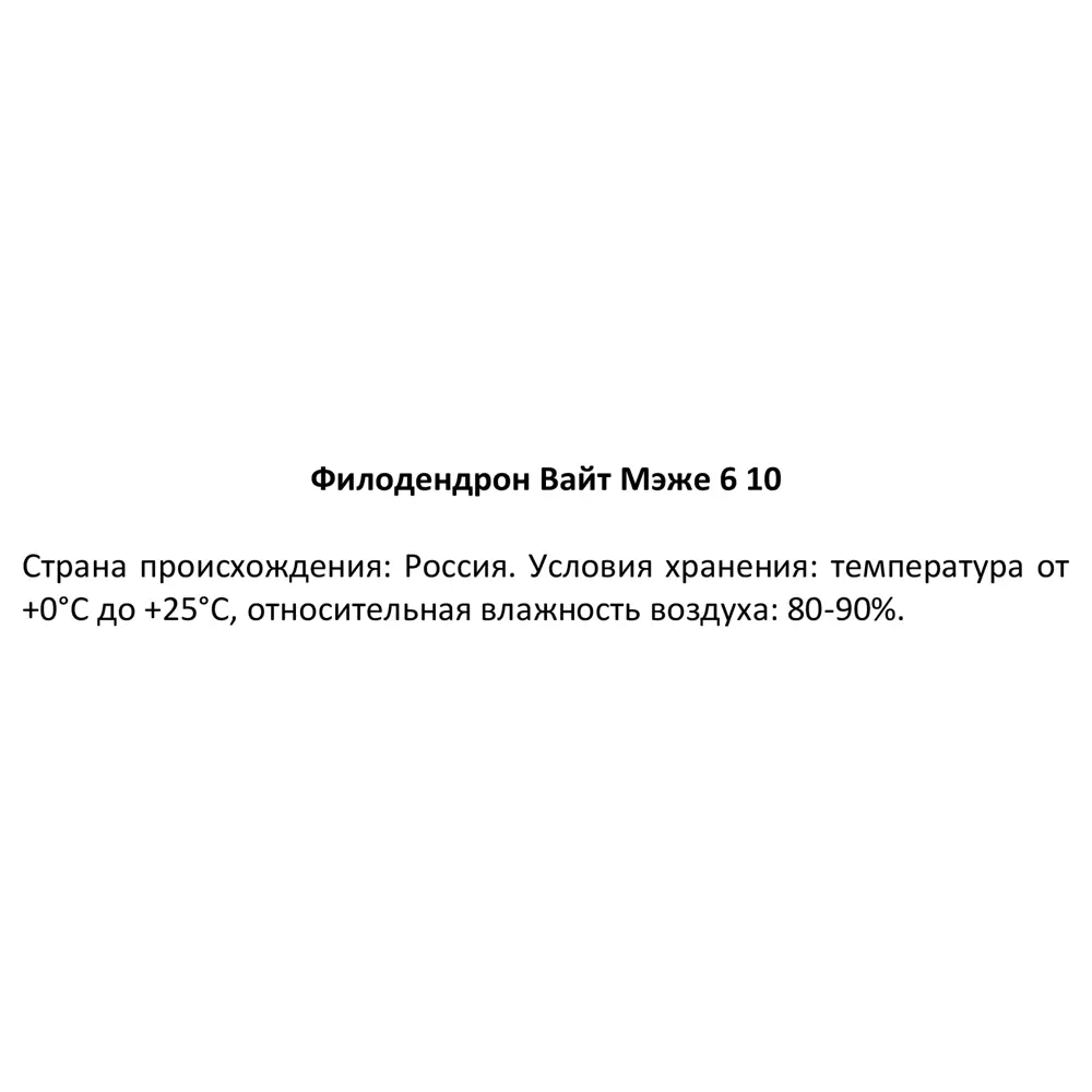 Филодендрон Вайт Мэже Santreyd - редкий сорт с бело-зелёными листьями 87819634 STLM-0075868 - Вид №3