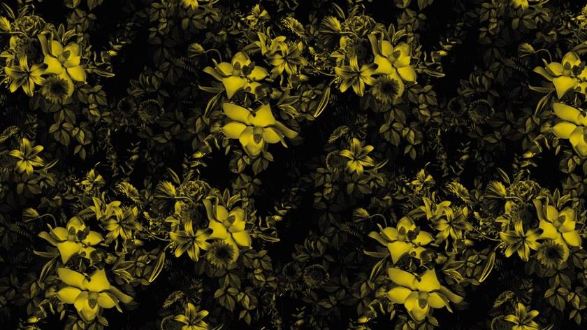 Baboon Цветочные обои для ванной Pattern sun-id-1406475 - Вид №3