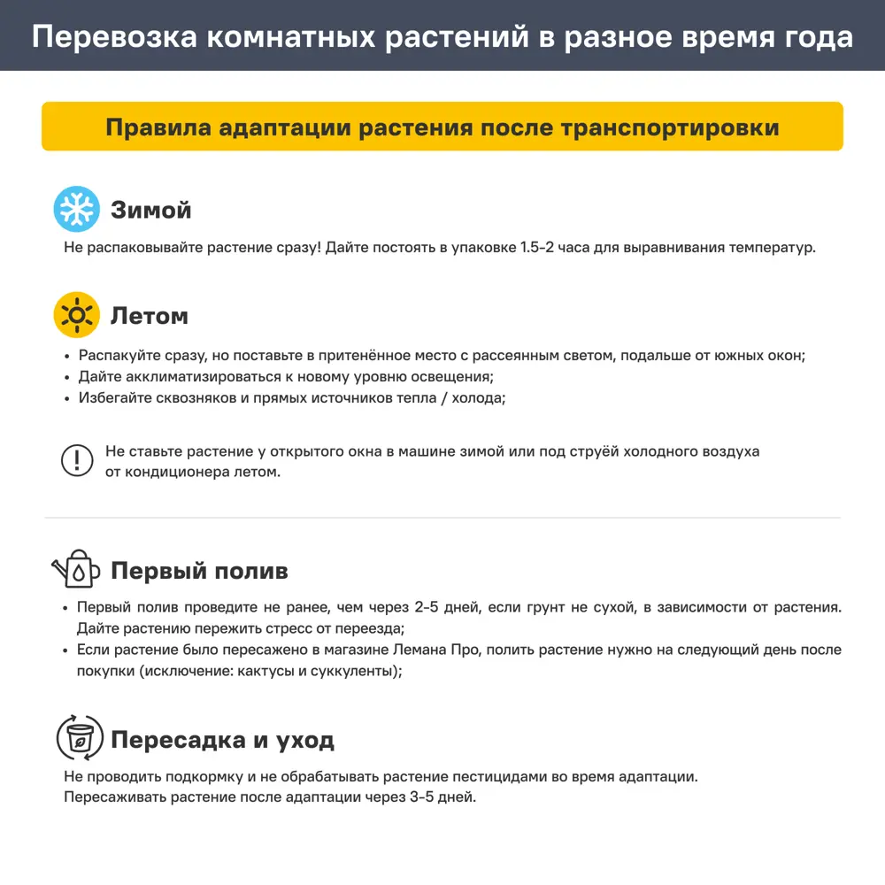 Бамбук прямой ø5 h40 см 89434606 STLM-2076728 Santreyd  - Вид №5