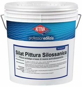 ATTIVA Краска против водорослей на основе силоксановых смол Smalti e pitture