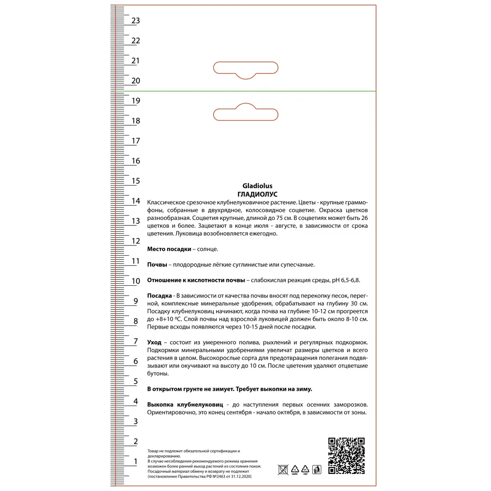 Гладиолус крупноцветковый Амстердам, 3 шт 89452189 STLM-2013239 ПОИСК  - Вид №1