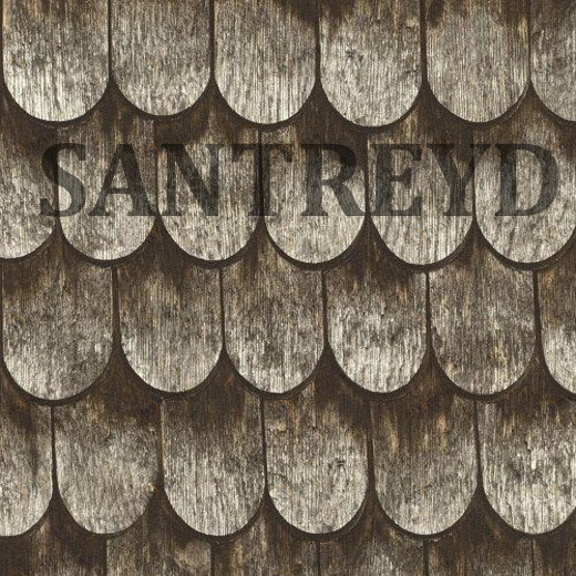 860702 Обои Rasch Barbara B.II