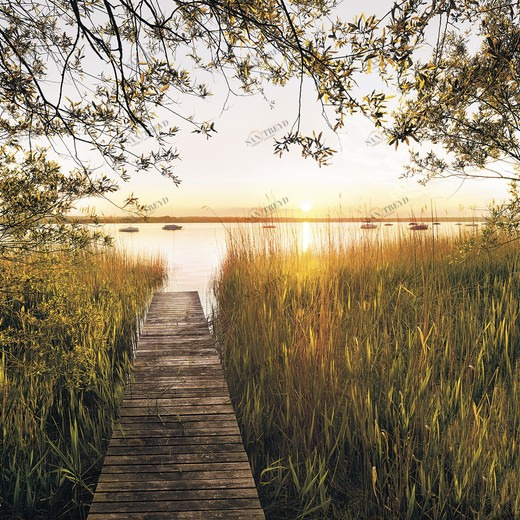 SH077-VD3-Lakeside Фотообои Komar Stefan Hefele 2.5х3 м SH077VD3LAKESIDE