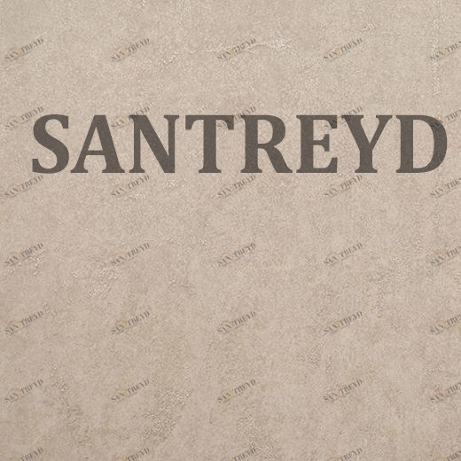 227276 Обои Rasch Tintura