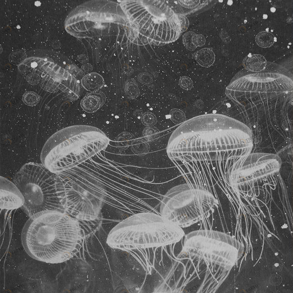 Арт-панель на холсте Alex Turco Underwater Grey Poison GREYPOISON