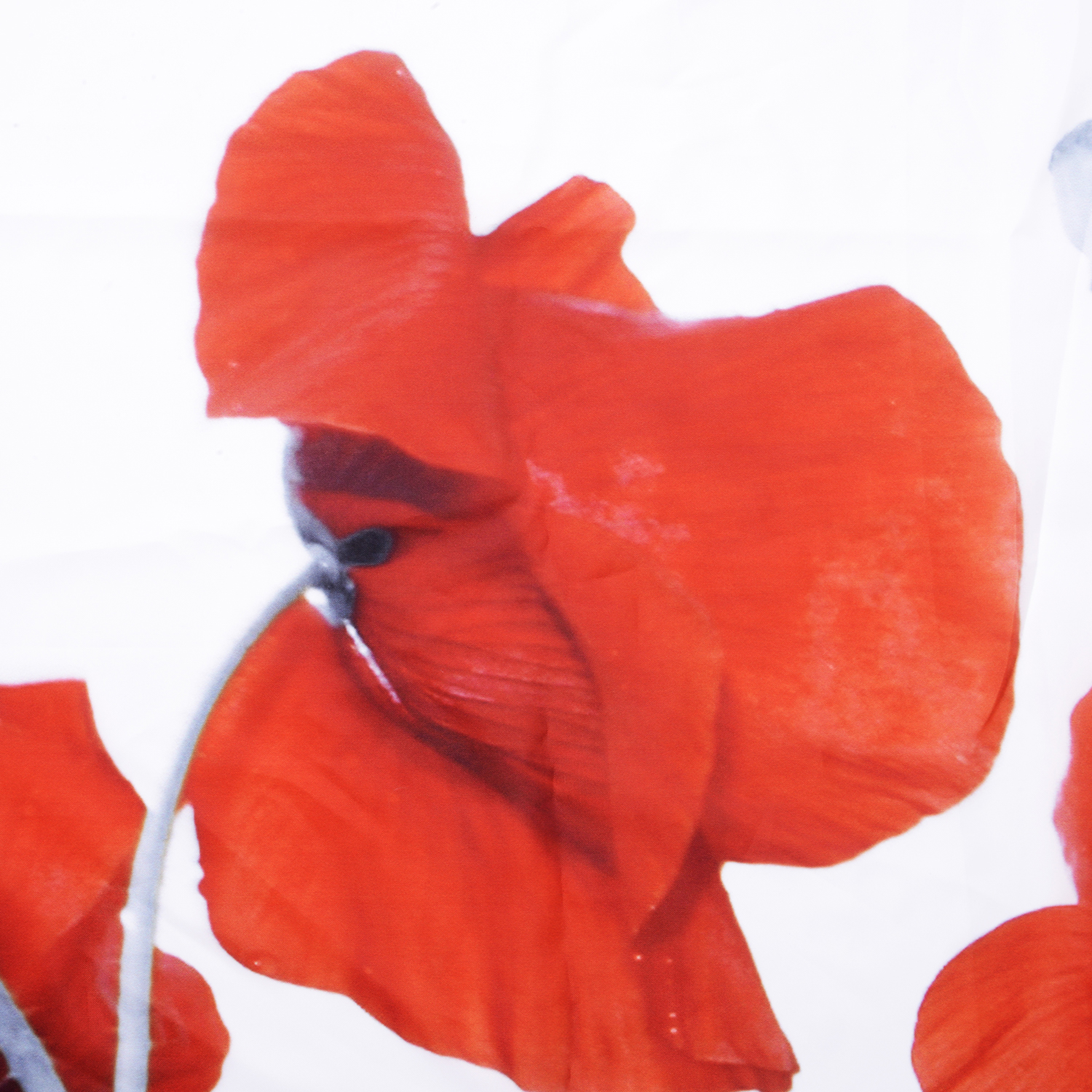 SC-47101 Main Шторка для ванной WasserKRAFT  - Вид №5