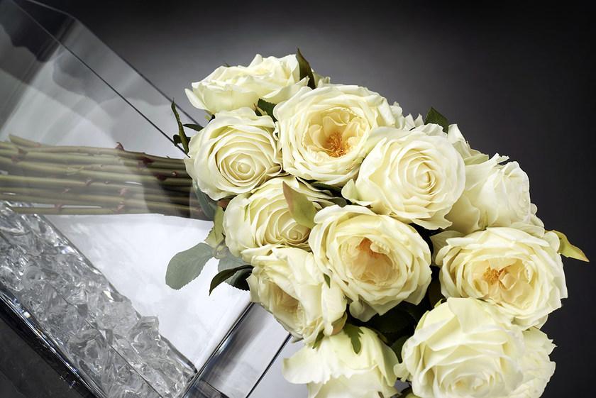 VGnewtrend Искусственное растение  1141190.95  - Вид №1