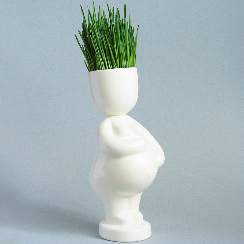 Набор для выращивания Eco Мама ЭКОЧЕЛОВЕКИ 1006 - Вид №1