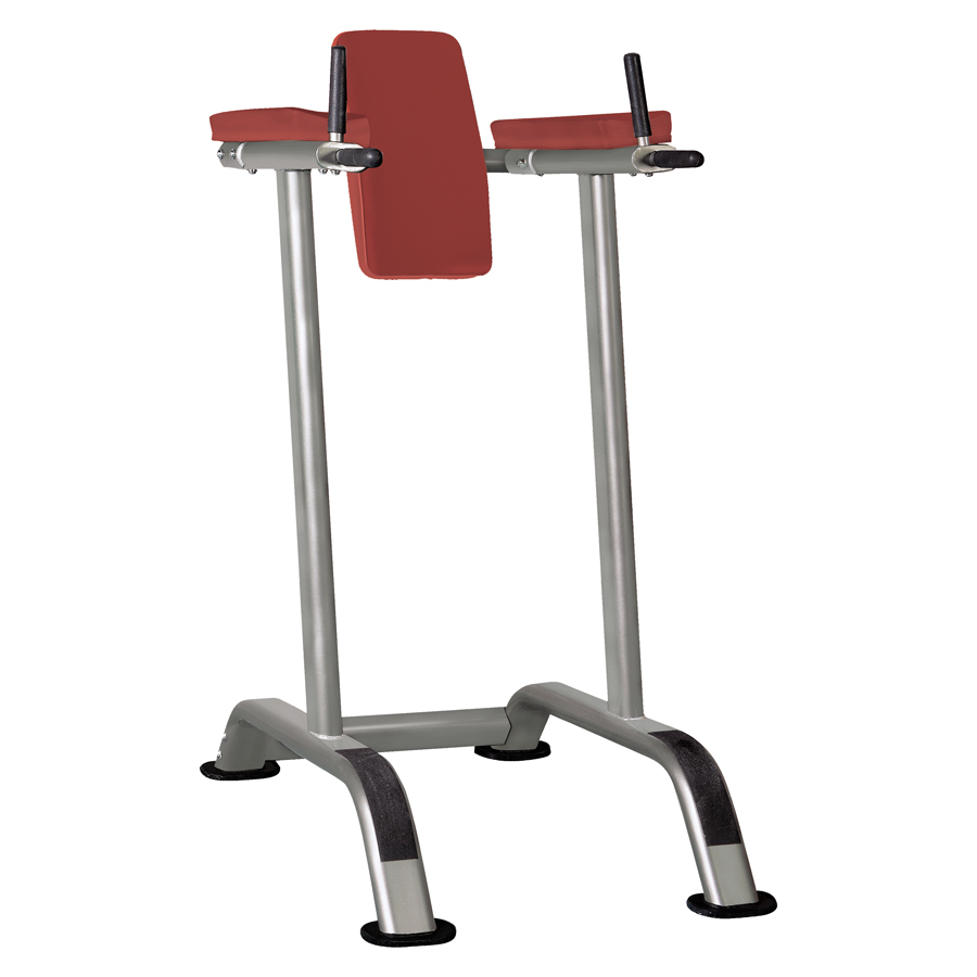 IT7010 Aerofit it7010 поднятие коленей AeroFIT IT93 серия 