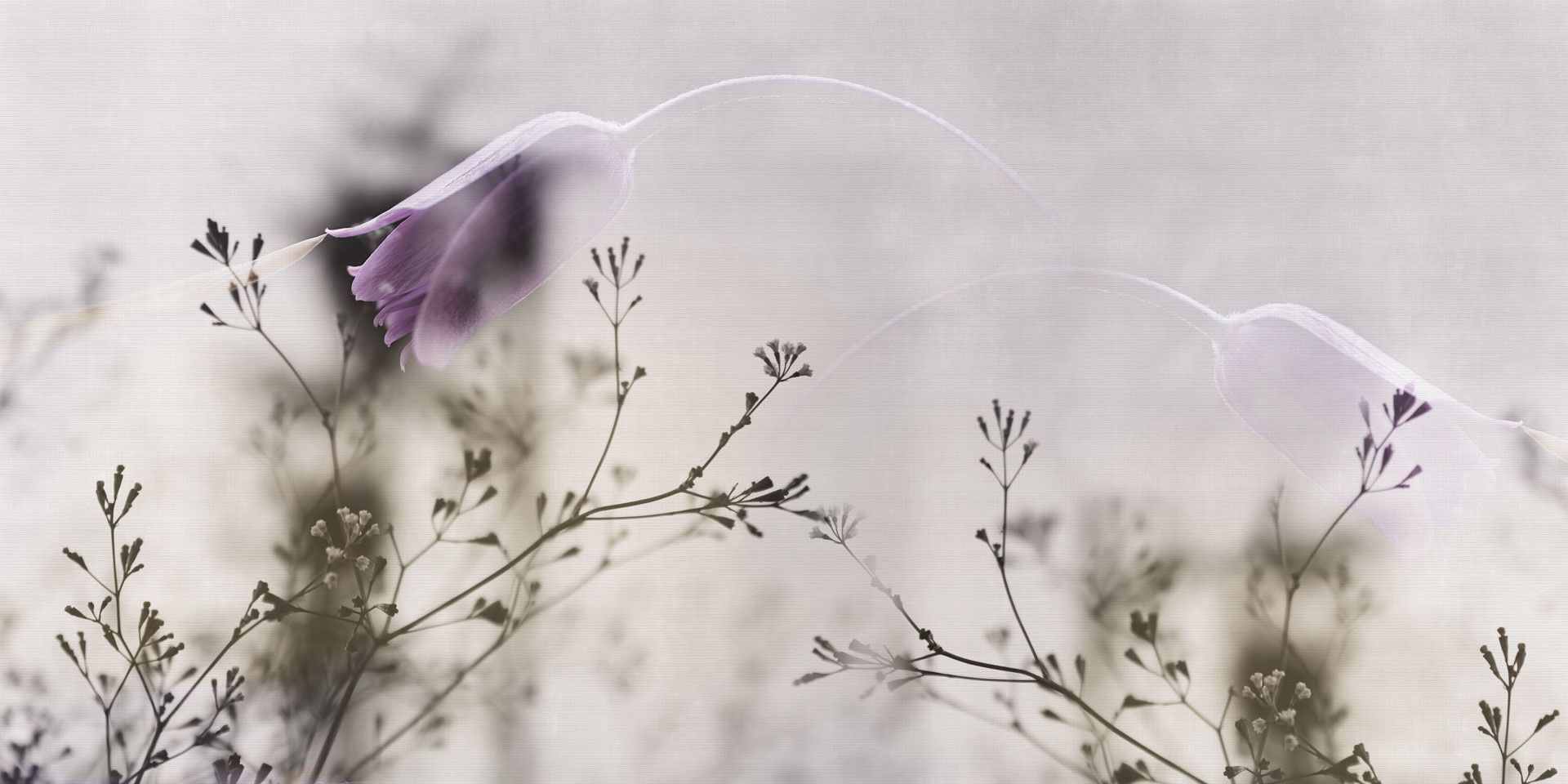 Обои с цветочными мотивами Rimura 2025 ARCH-00068333