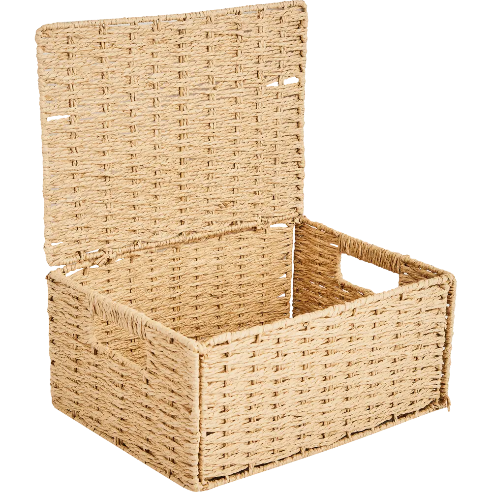 Корзина с крышкой для хранения 31x15x23 см бумага цвет бежевый SPACEO Kub STLM-2131078 - Вид №1