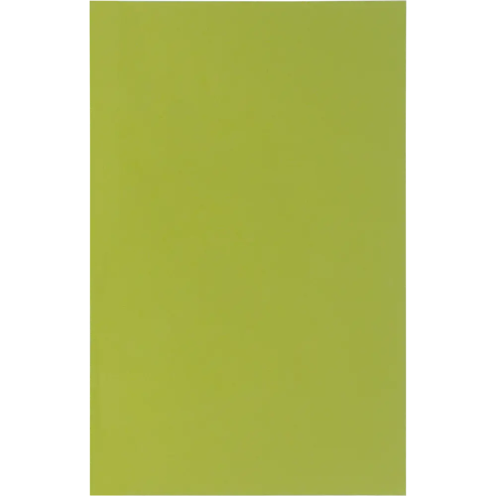 Дверь для шкафа Delinia «Васаби» 45x70 см, пластик, цвет зелёный 15119821 STLM-2160158