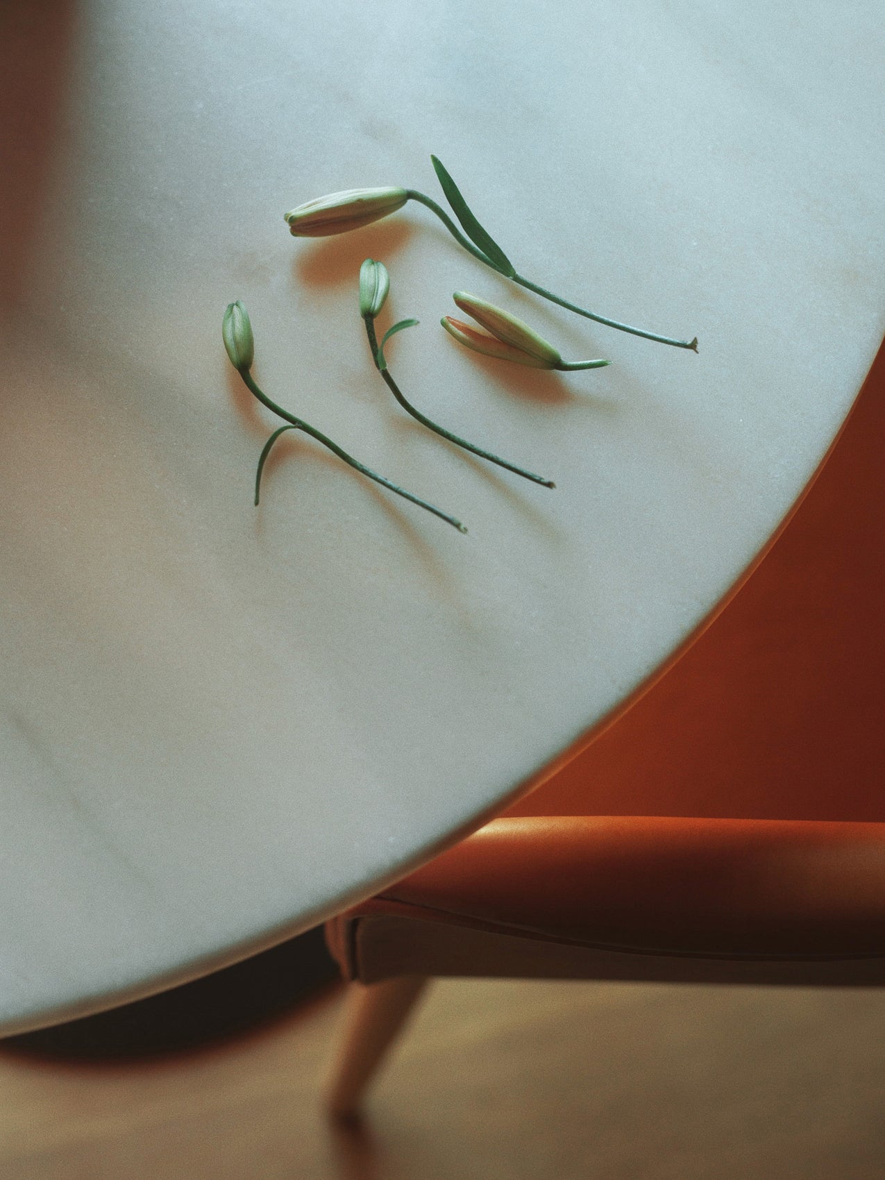 5709262025619 Стол колонны гавани, столешница круглого стола LuceLight  - Вид №23