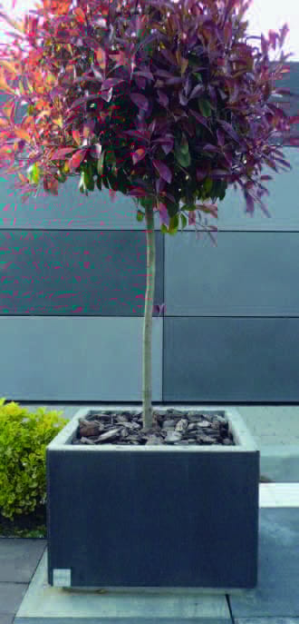 Вазон PAVESMAC TERRA SCREEN ® ARCH-00057843 - Вид №2