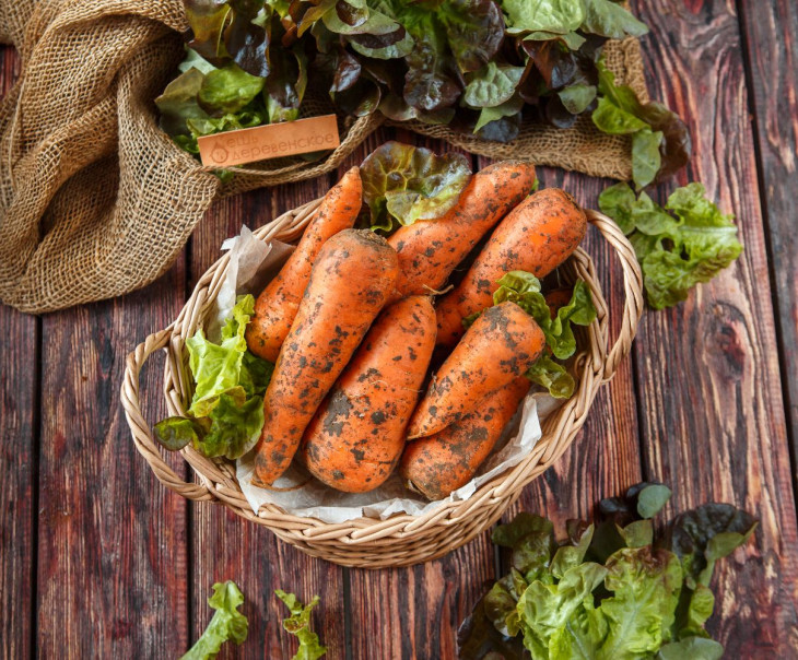 6711 Морковь Вкусляндия  - Вид №2