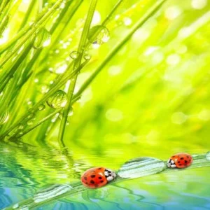 WP02575 Фотообои Verol Фотообои decoline 1х1 м