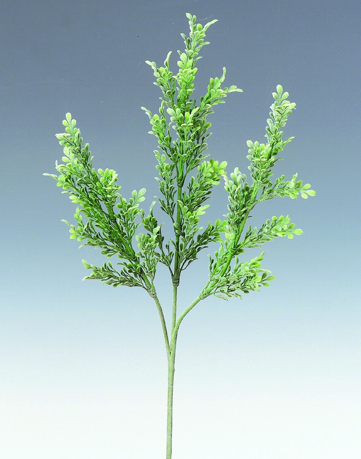 5074 883 a2 Искусственная ветка самшита, синтетический материал, 62 см, зеленый H-andreas 