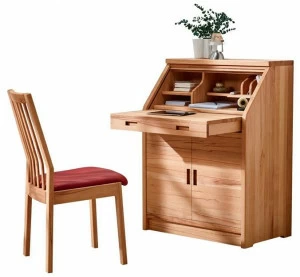 Dyrlund Письменный стол из дерева