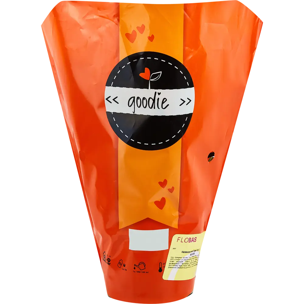 Santreyd Каланхоэ Гуди микс - цветущий суккулент для дома 89352855 STLM-0956415 - Вид №5