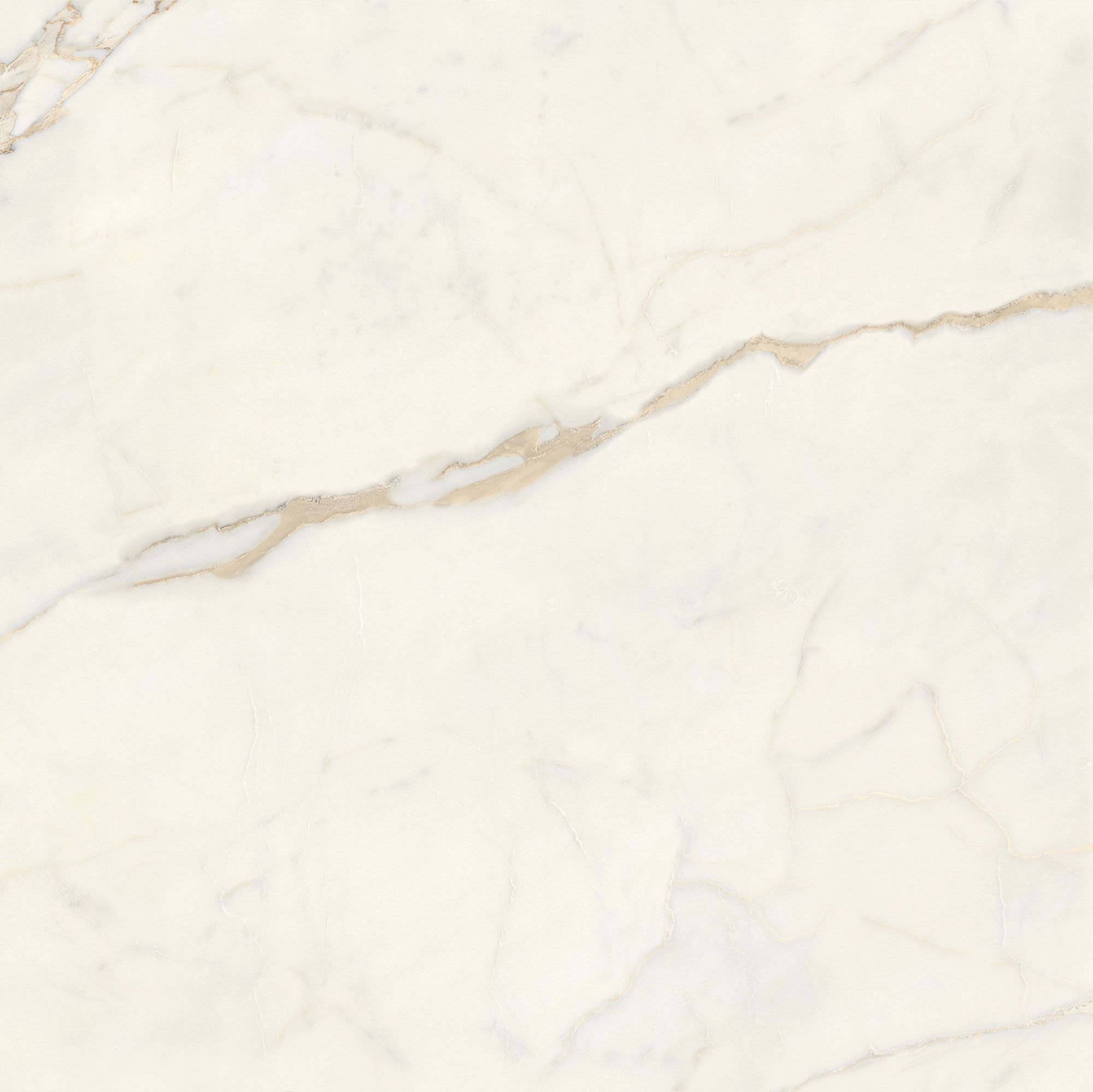 Пол / керамогранит с мраморным эффектом Italgraniti Marble Touch ARCH-00062183 - Вид №22