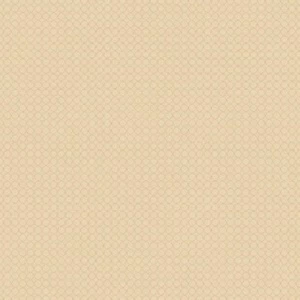 FR61701 Обои Seabrook Affresco