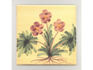 Пол / покрытие ручной работы