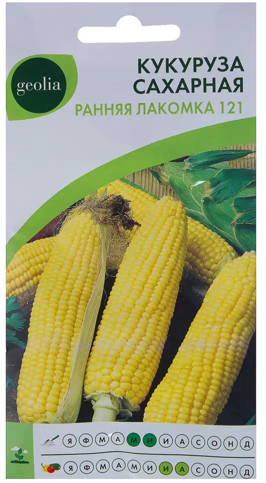 Семена кукурузы Geolia Ранняя лакомка - сладкий ранний сорт 17585359