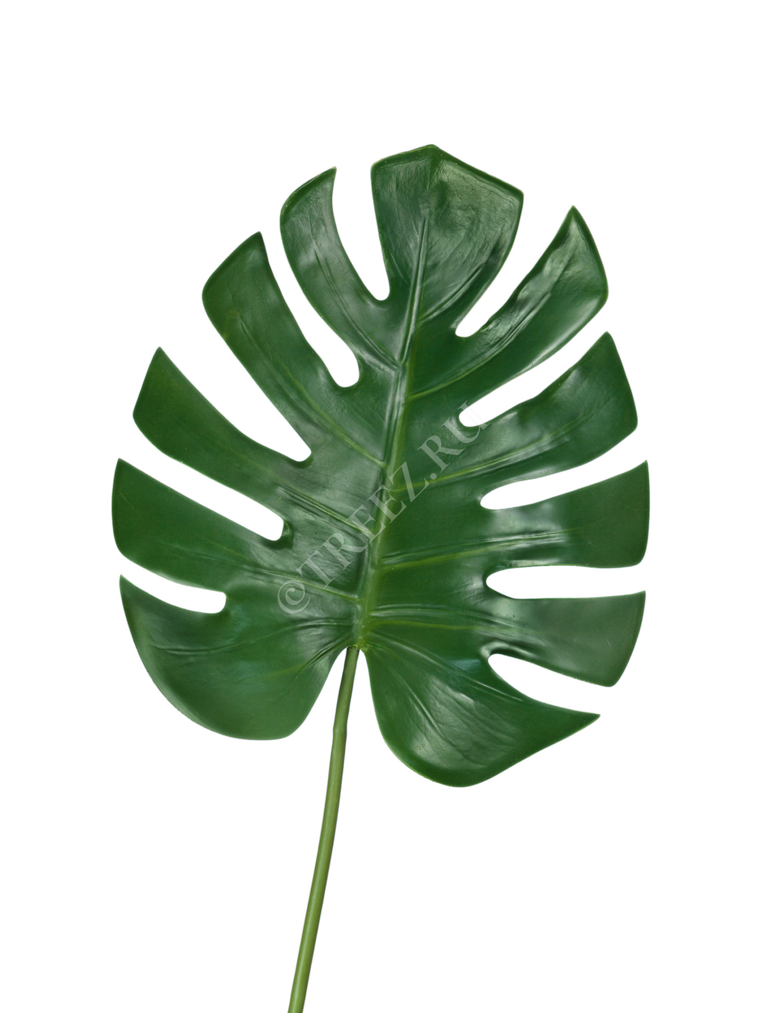30.0614184 Лист Монстеры большой Цветочная коллекция 