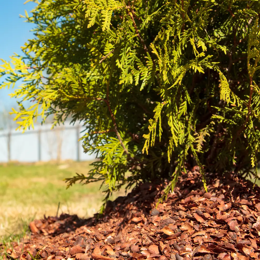 Santreyd Мульча Какаовелла 20 л с шоколадным ароматом 88509501 STLM-0959457 - Вид №6