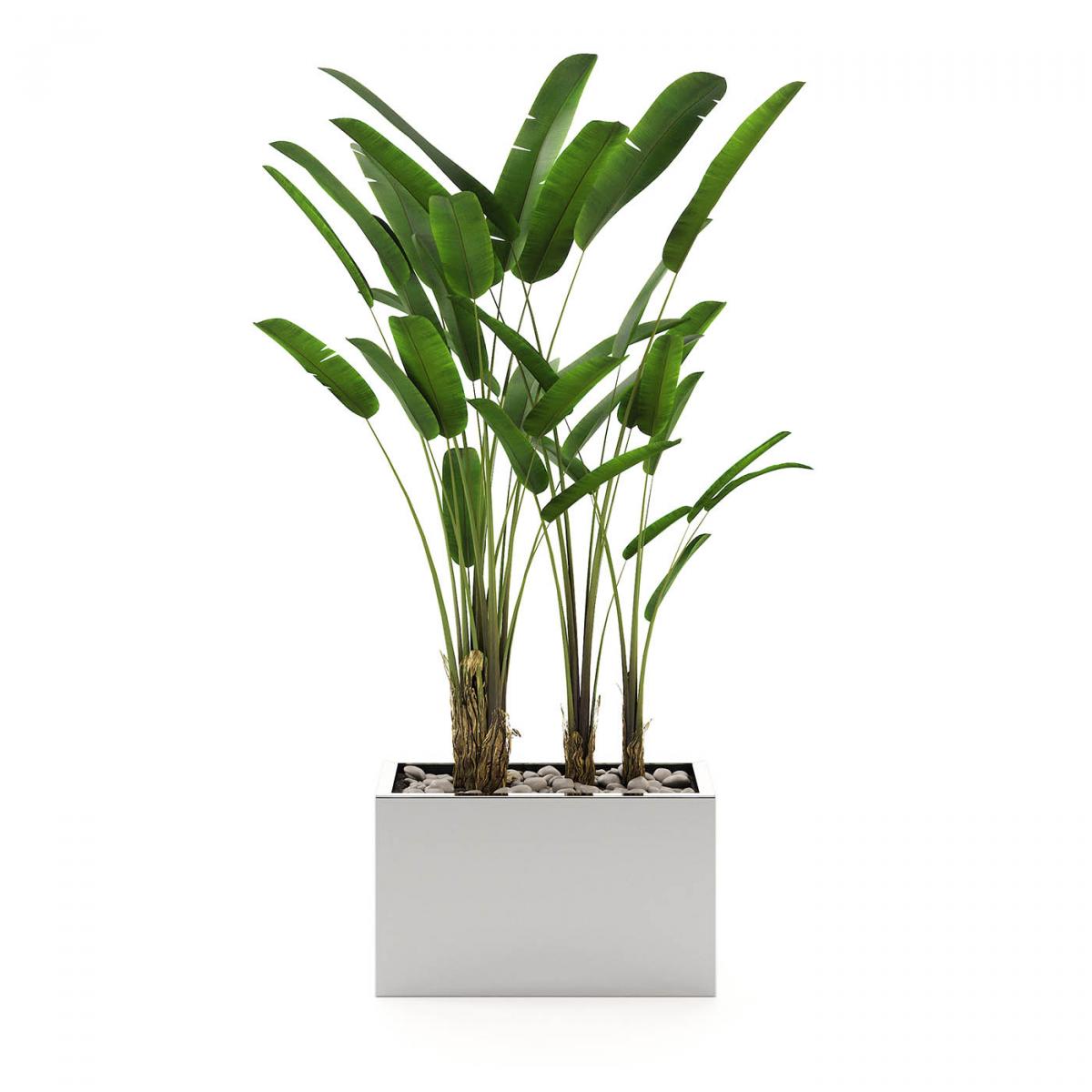 093225 Цветочный горшок LasKasas Stela 