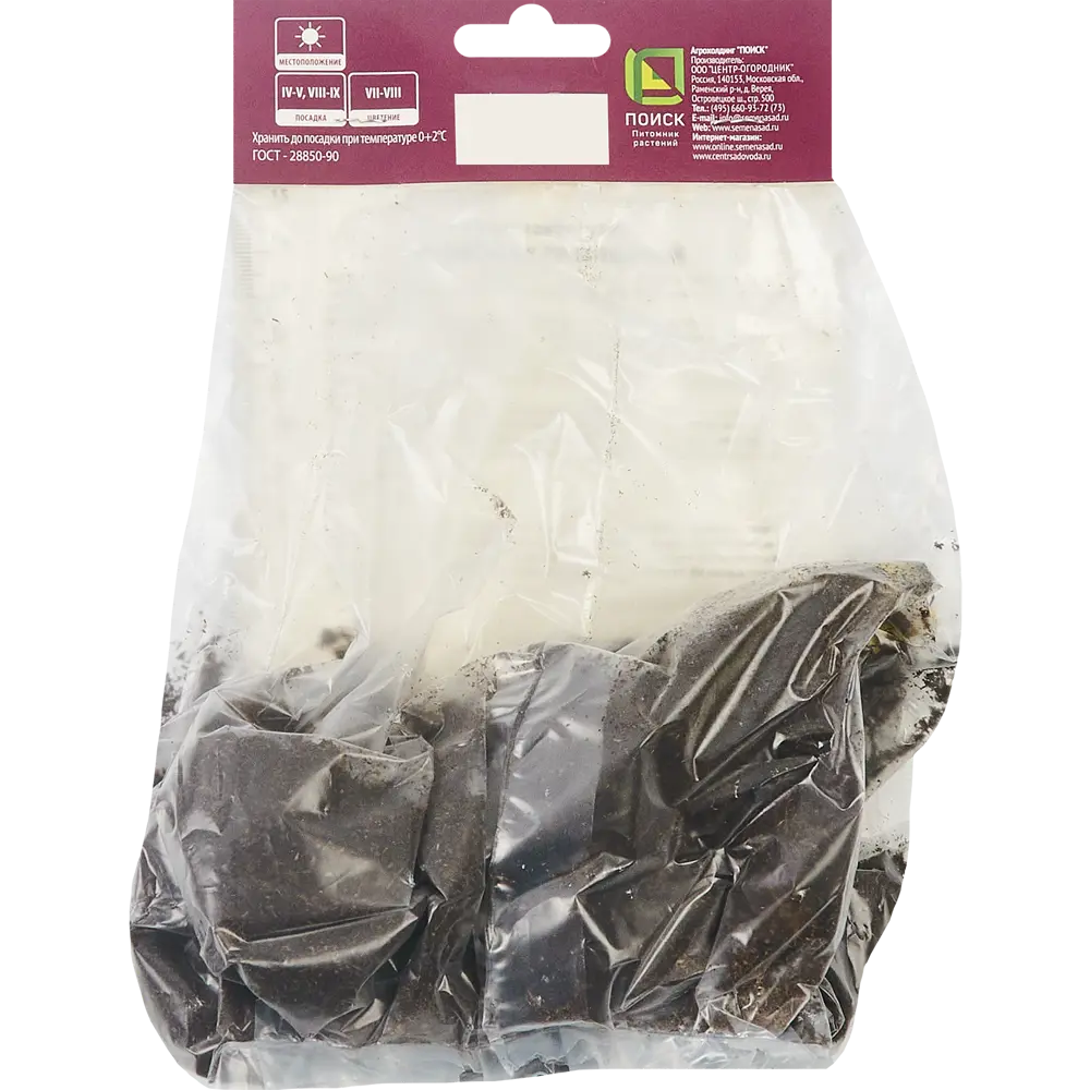 Лилейник Вупи ПОИСК - фиолетовый многолетник для солнечного сада 85186039 STLM-0953112 - Вид №1