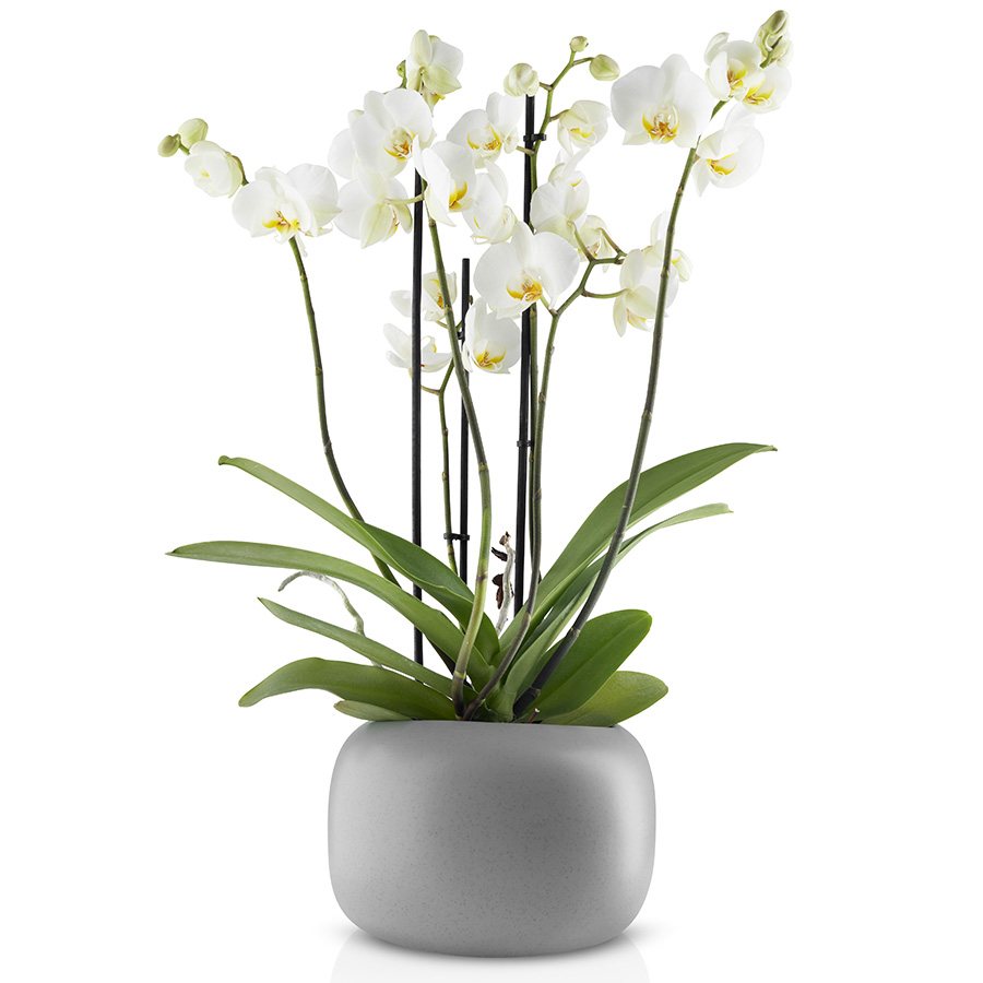 568171 Горшок для растений stone, D19 см Eva Solo  - Вид №2