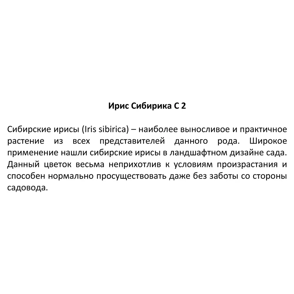 Santreyd Ирис сибирский - фиолетово-синий многолетник для сада 82560428 STLM-0029948 - Вид №2
