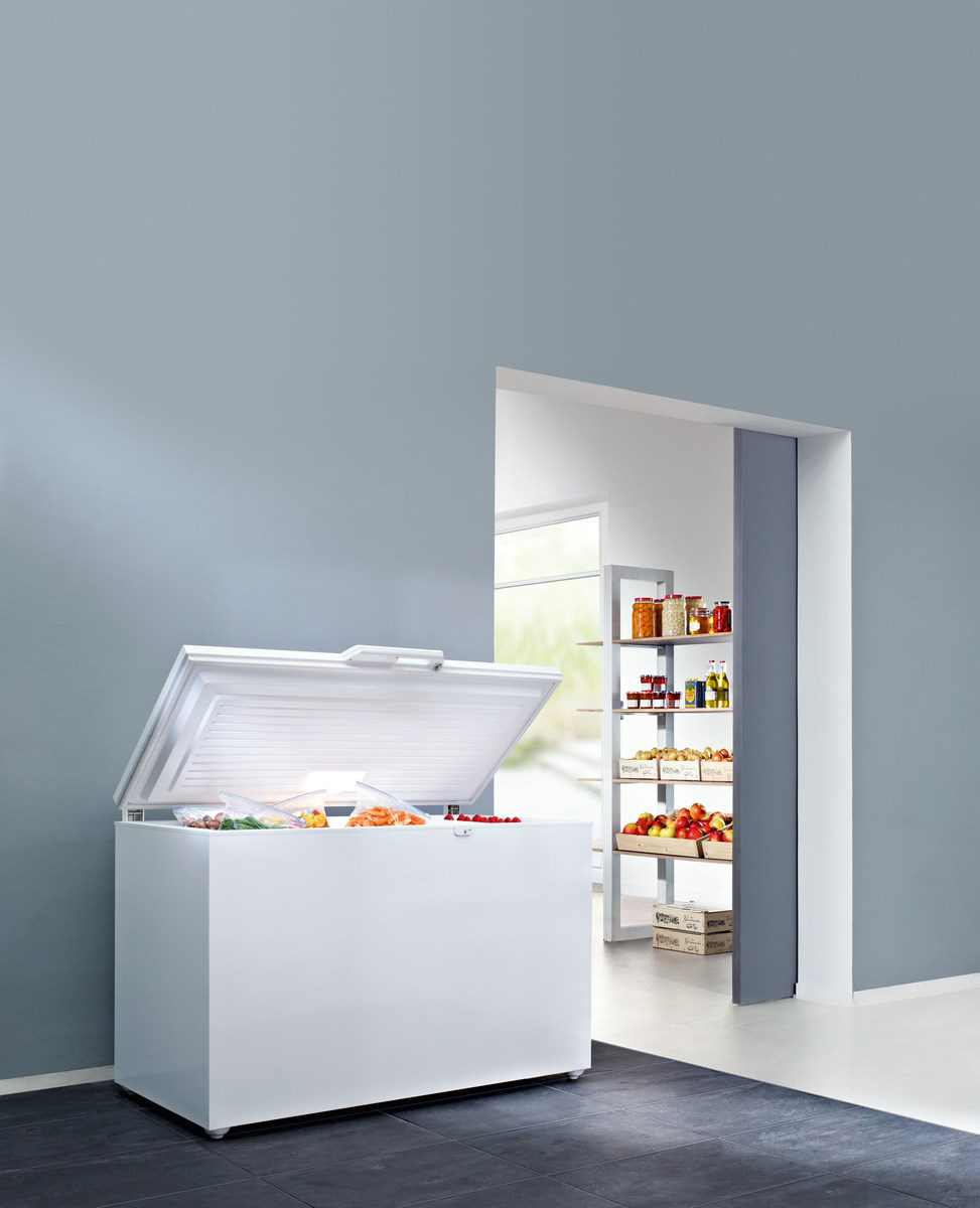 GTP 2756-25 001 Холодильник / 91.9х128.8х76, 240 л, однокамерный морозильный ларь Liebherr  - Вид №4