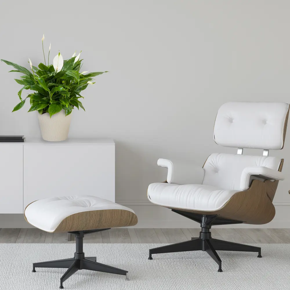 Спатифиллум Беллини от Santreyd — изящное цветущее растение для интерьера 82548590 STLM-0029507 - Вид №3