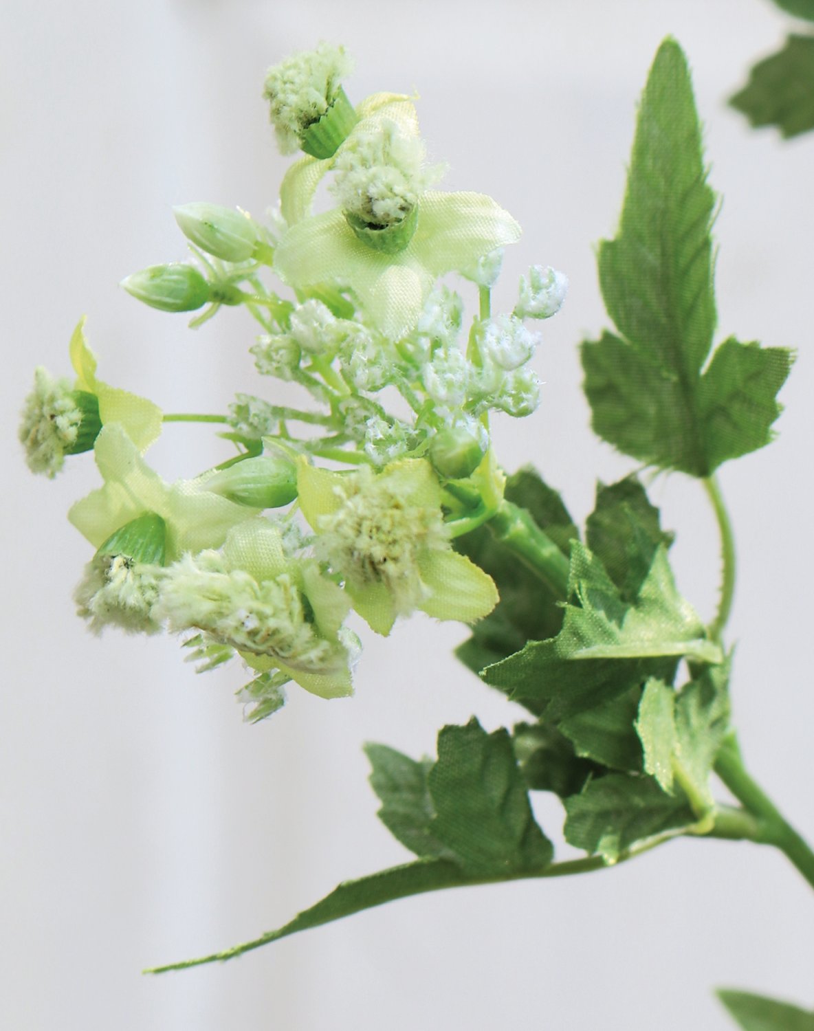 4095 873 a2 Усик искусственного чеснока, 3-х кратный, 60 см, зеленый H-andreas  - Вид №1