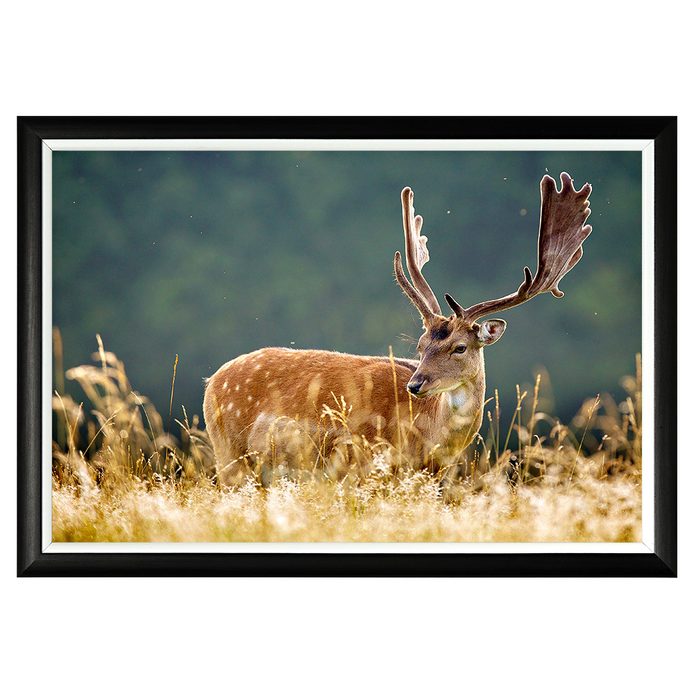 896523235_1818 Арт-постер «Король Олень» Object Desire 