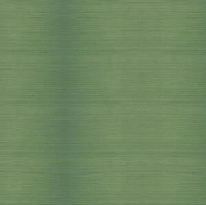 Террасная доска TerraPol Полнотелая 576 Олива (Рельефная) 3000х130 мм.