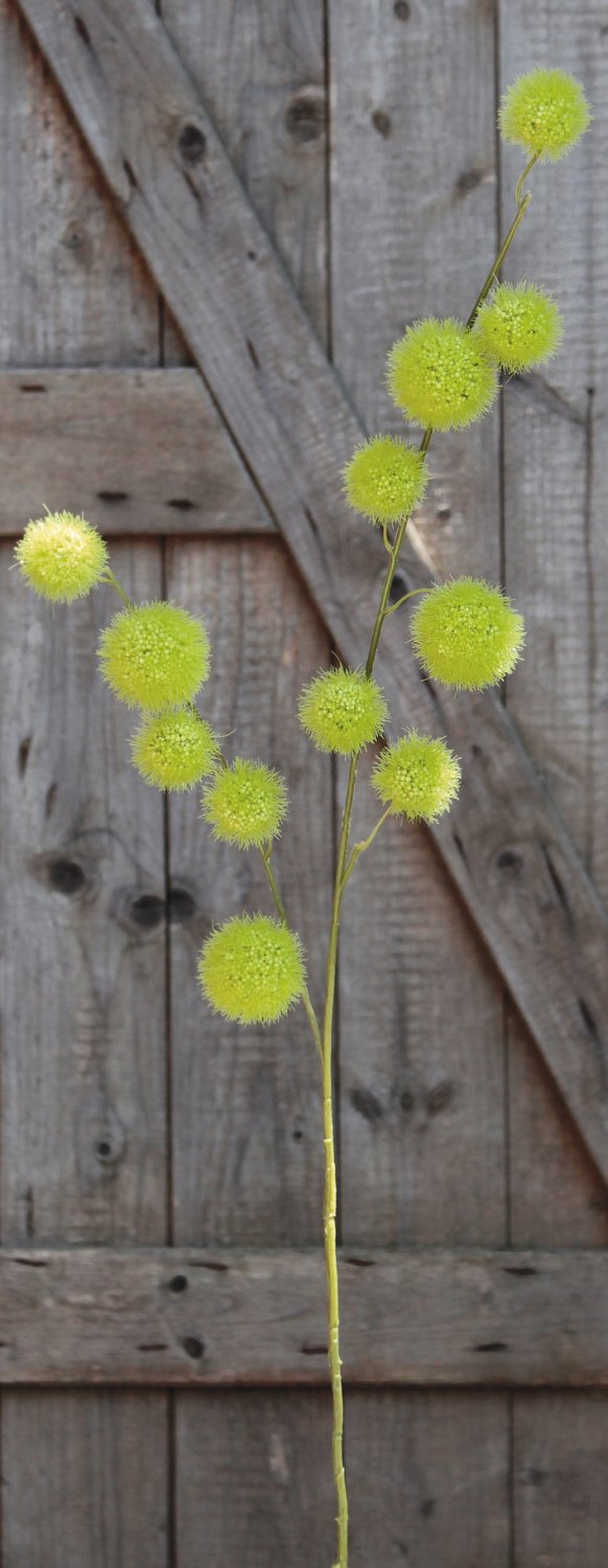 5535 883 a3 Искусственный спрей из плодов гомфокарпуса, 103 см, зеленый H-andreas  - Вид №3