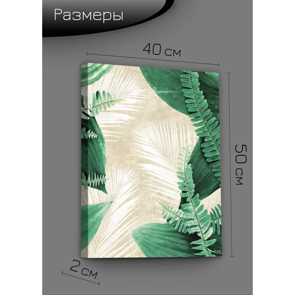 Картина на холсте Экзотические листья 3 40x50 см FBRUSH STLM-2048211 - Вид №8