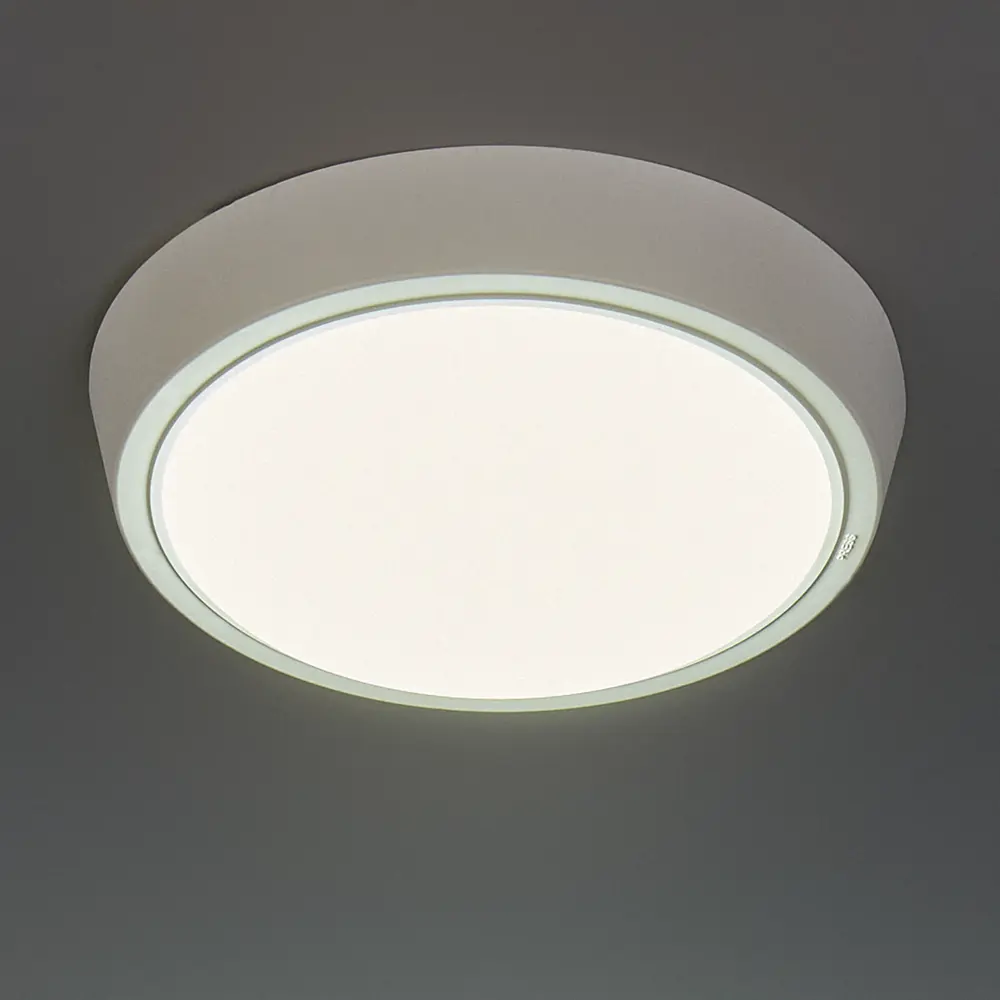Светильник Wolta DBO01 настенно-потолочный LED 20Вт белый 83102537 STLM-0926305 - Вид №2