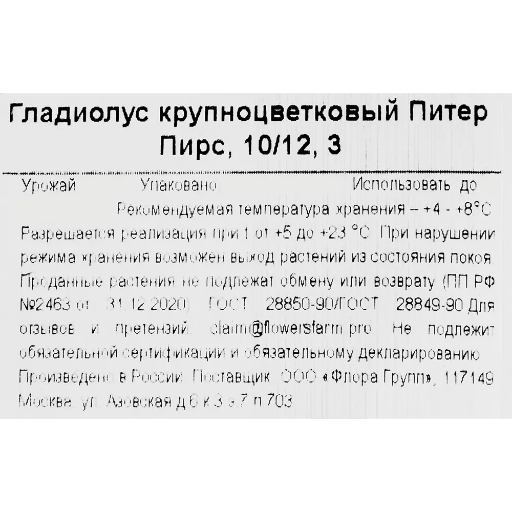 Гладиолус крупноцветковый Питер Пирс 86735662 STLM-2018862 Santreyd  - Вид №2