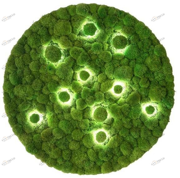 Freund GmbH Настенный светильник из мха / потолочный светильник sun-id-1426199