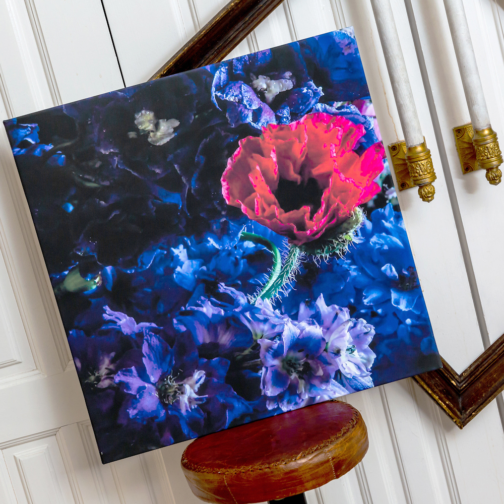 896520127_2728 Картина «Olimpian Blue» (холст, галерейная натяжка) Object Desire  - Вид №1