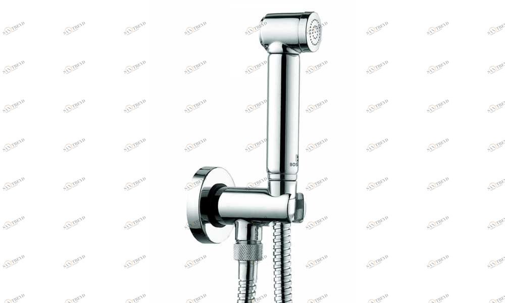 C69004 Гигиеническая лейка Alexa-Brass BOSSINI 