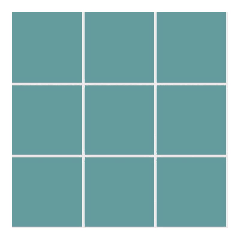 K54202580001VTE0  Vitraglobal Pro Color 