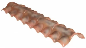 First Corporation Высота Cover-life Cscpanu